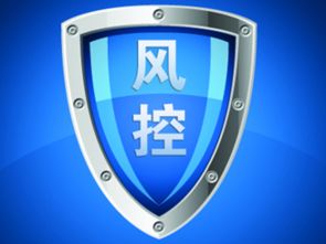 引領互聯網金融服務
