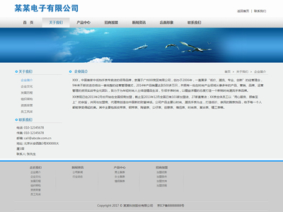 帝國cms電子企業(yè)自適應(yīng)網(wǎng)站模板